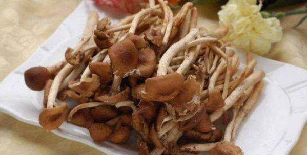 什么炖排骨能滋肝补肾 be481c36c8f34a128e07ea121514e808.jpeg