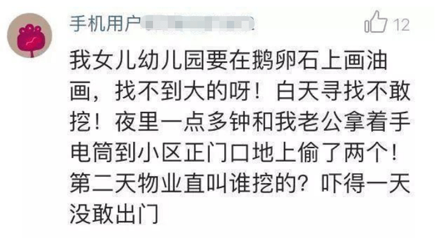 高手|幼儿园开启另类“家庭调查”，家长看破不说破，化身反套路高手