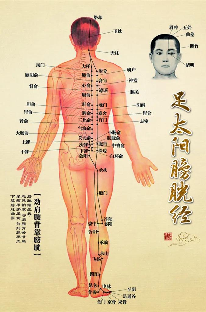 通全身气血经络经典方子 02065f1f6d32485cbc54c8eee0057912.jpeg
