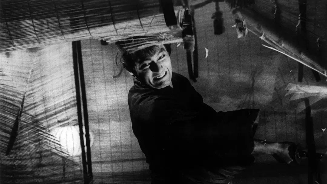 因为|雨苔的2021年度电影盘点其三:年度观影50佳