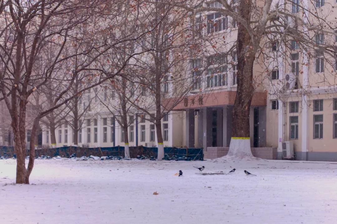 聊聊北京科技大學怎麼樣景美人更美