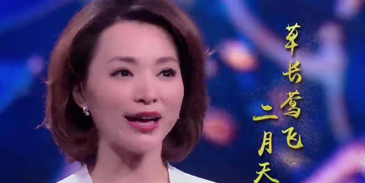 中国诗词大会董卿 f4b89199e8294c3cb4937f2241e1ac8f.jpeg