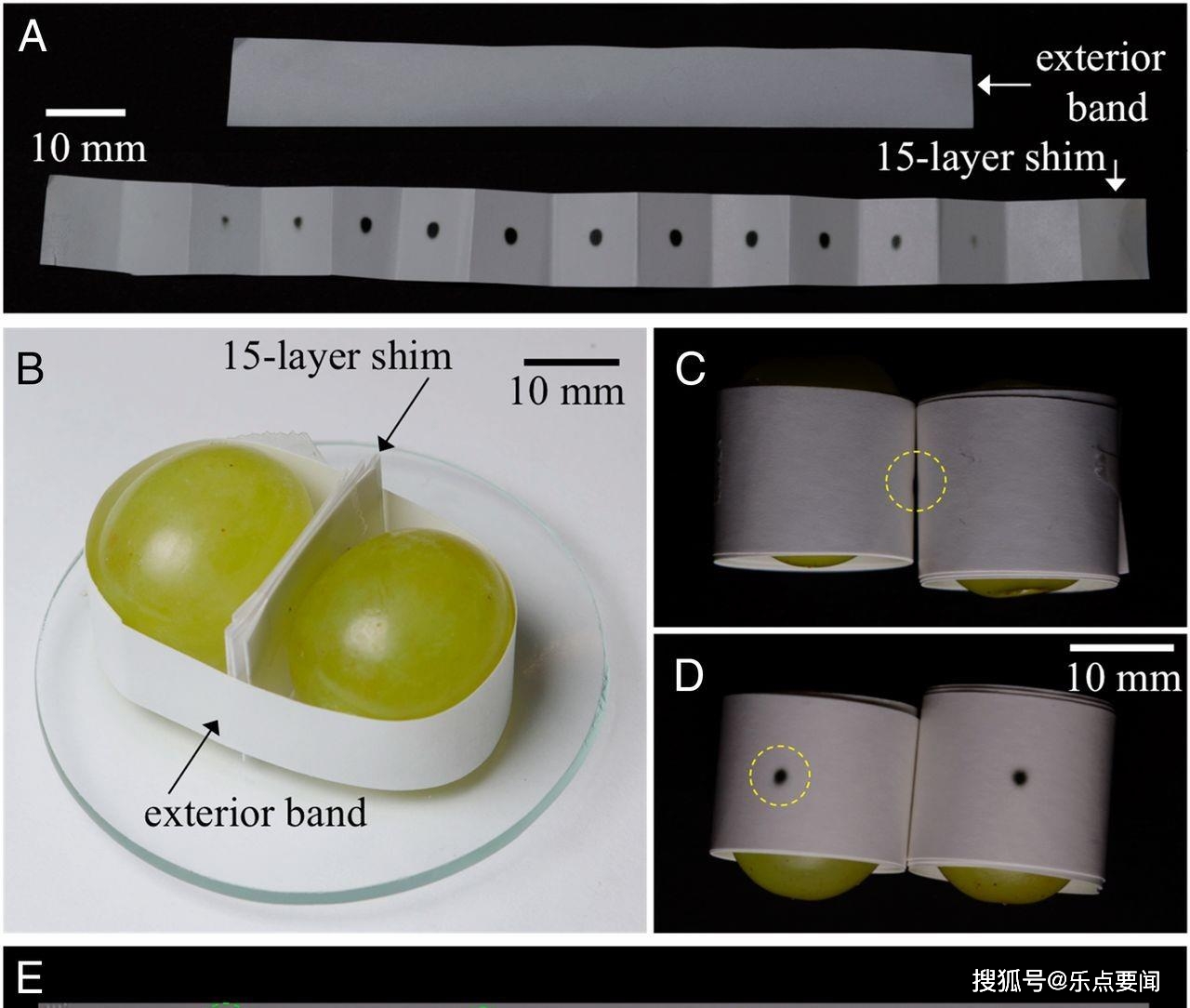 能量|微波炉加热葡萄有危险？瞬间喷射高温等离子体，科学家作出解释