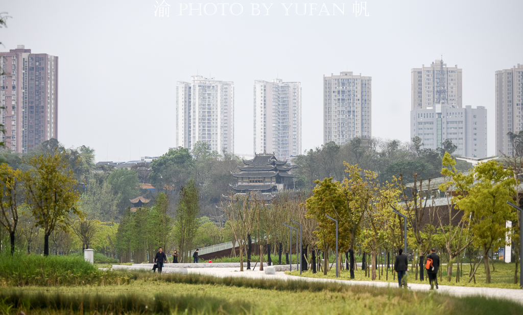 中国|重庆潼南蔬菜公园，中国最接地气的公园，与大佛寺与双江古镇相邻