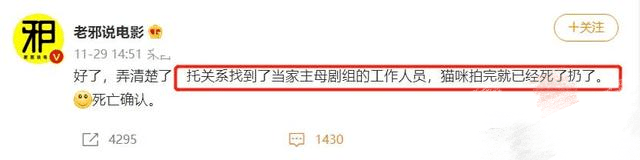 蒋勤勤|《当家主母》虐猫风波反转，警方证实不存在虐猫，3名造谣者被抓