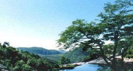 介绍武夷山的主要景点 c583e0430d2a4b758d957c359c4345bd.jpeg