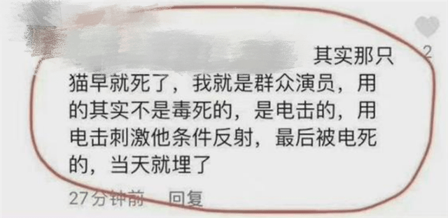 蒋勤勤|《当家主母》虐猫风波反转，警方证实不存在虐猫，3名造谣者被抓