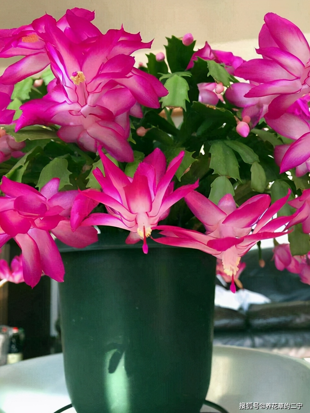 32d7b2faef0b4980a2edf9400db691b0.jpeg