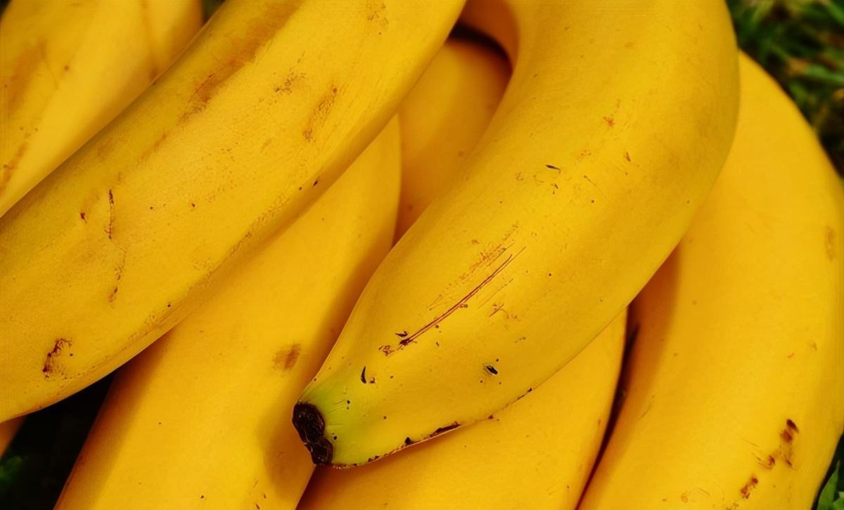 g0go人体大尺香蕉 皇帝蕉和香蕉的区别