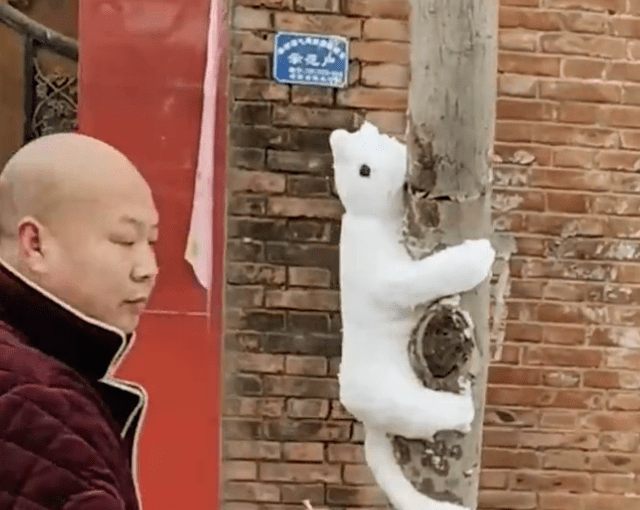 河南男子用雪做了个"猫上树偷鱼"的雪雕,栩栩如生获网友点赞