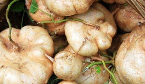 7ec9f5dc5a12429e8ccd392a1ffd8753.jpeg