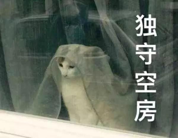 宽度点开户田惠梨香和永野芽郁合拍的海报，忍不住感慨岁月的流逝