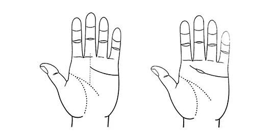 手指併攏有縫會漏財這種手相的男人最有錢