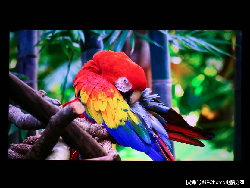 海信全色激光电视100L9F：凭实力Battle传统电视