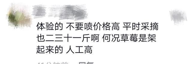 黄圣依|黄圣依家草莓园曝光！大棚太大一眼看不到头，一斤卖58元被吐槽贵