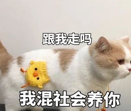 7ea6a2e168374a339392dae15989c594.jpeg