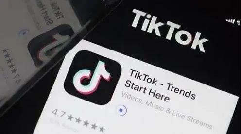 tiktok怎么做外贸 445594cfbdd045fea76f3b508c5b38a7.jpeg