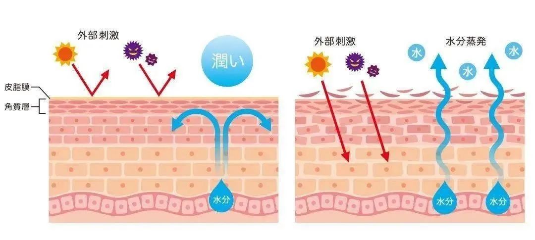 产品雅漾修复系列“姐妹花”，稳固肌肤屏障还得她俩出马