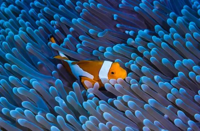 互联网摸鱼大赏