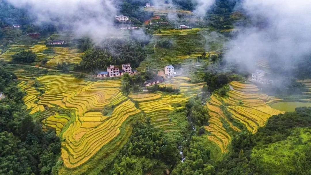 遂川全域旅游展新颜