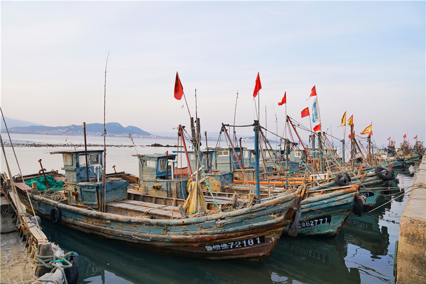 那就不妨来港东渔码头走走吧,港东渔码头位于青岛市崂山区王哥庄街道