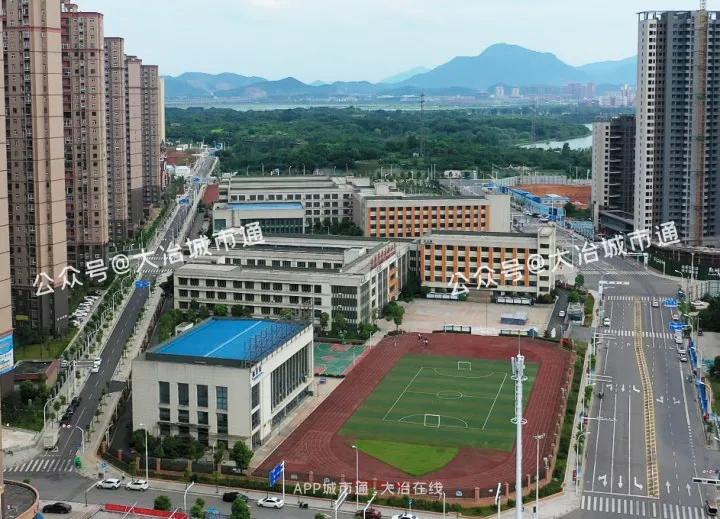 尹家湖中学聚龙外国语学校青松学校近年新建学校大冶一中大冶市东风路