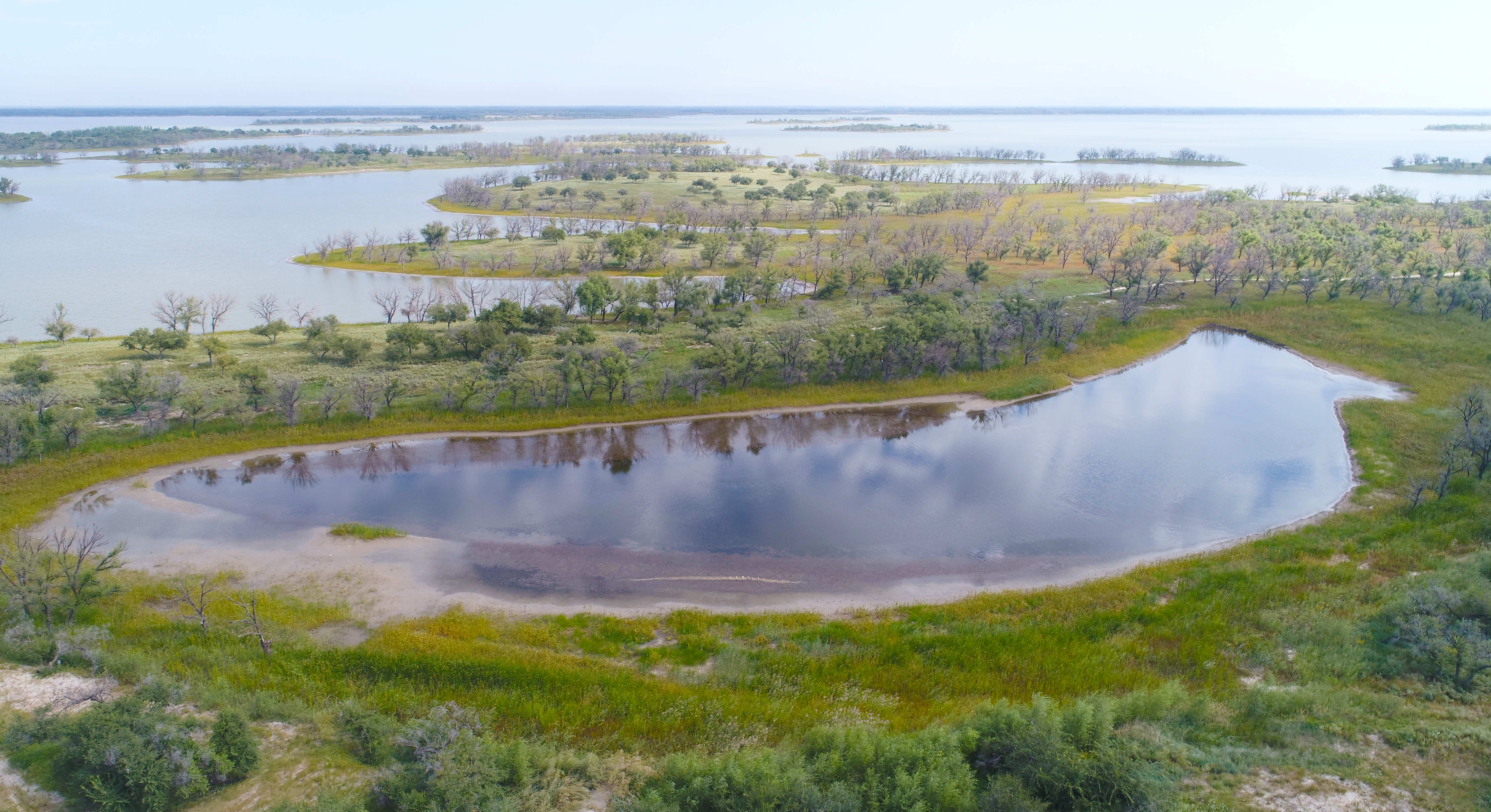 镇赉莫莫格|吉林省公布第一批省级重要湿地名录！一起看看TA们的“高颜值”