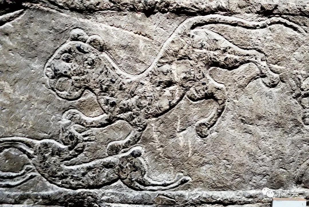 虎年赏虎第八弹石虎篇:汉画像石中的老虎及其他_艺术_资料_朱雀