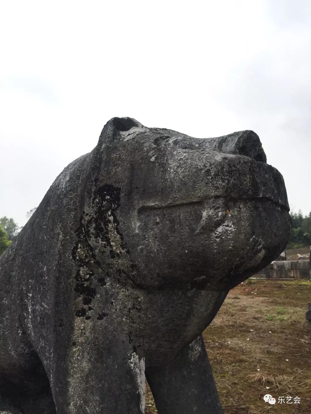 虎年赏虎第九弹石虎篇养浩气铭历史