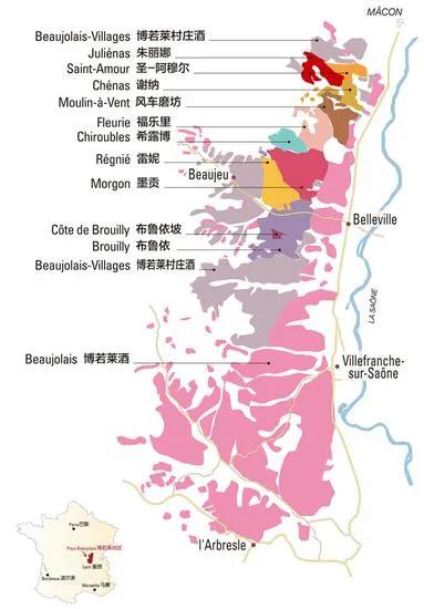 特级|注意，酒标上有这几个词，酒的质量通常不会太差！