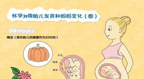 c44aeb03a8b64f179bcd90d1fa97d760.jpeg