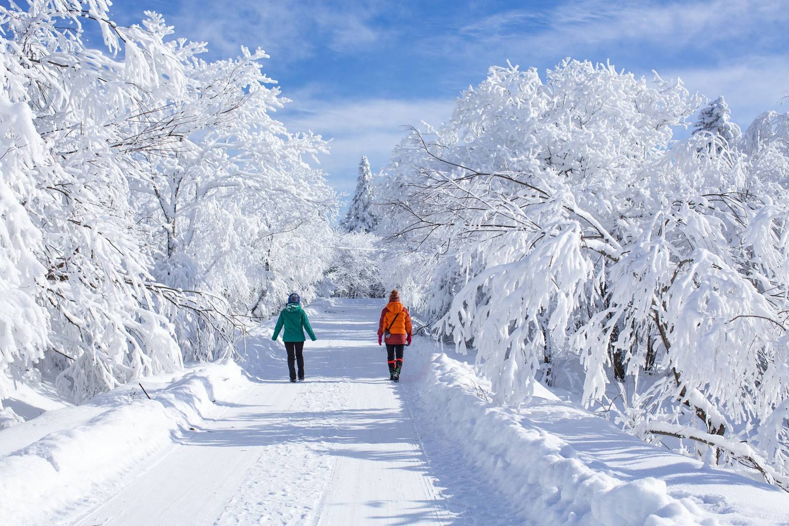 中国雪景图片最美图片