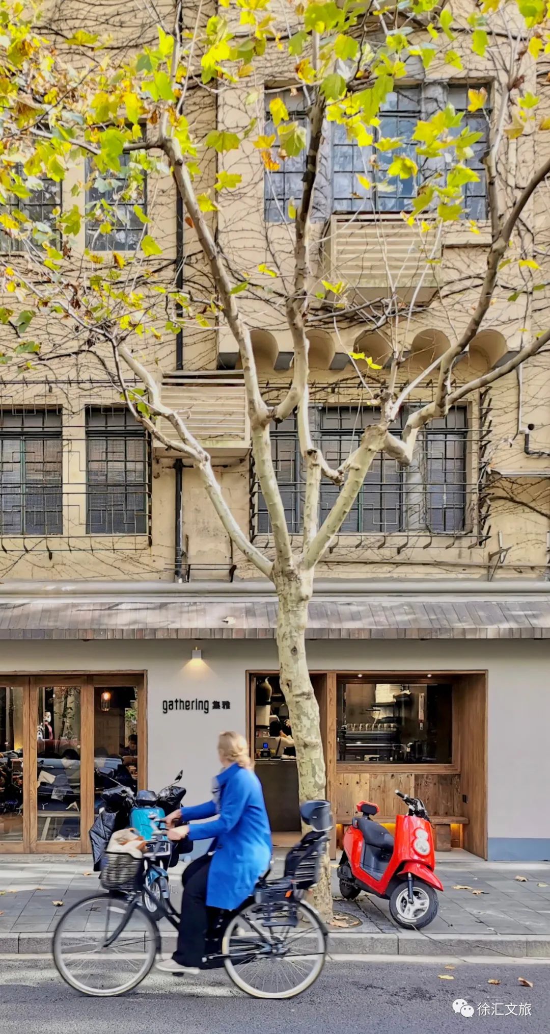 天花板来了武康路安福路街区晋级国家队