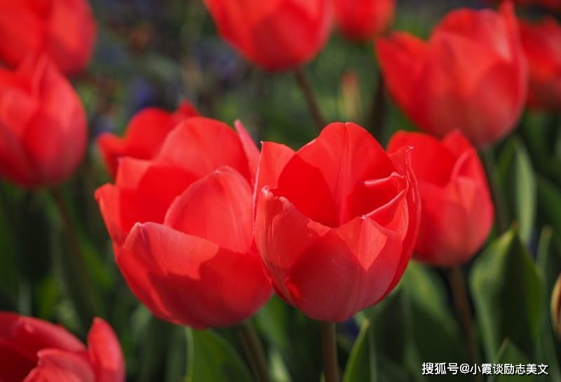 2月6日起 烟雨朦胧 爱意回荡 虔诚认错的星座 爱情迎来重生 天秤座 天蝎座 对方