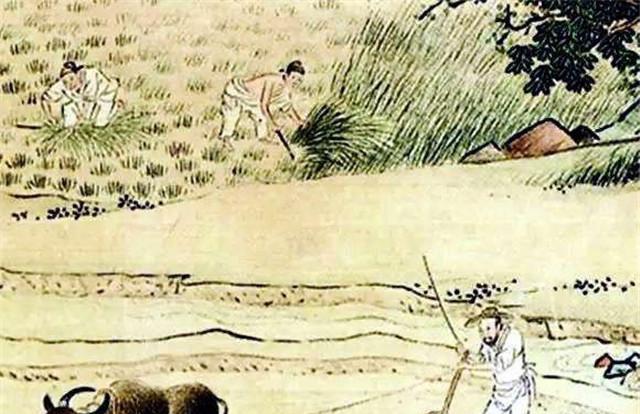 耕牛是古代农业上的战略性物资,古人如何“守护”耕牛?_进行_生产_法律