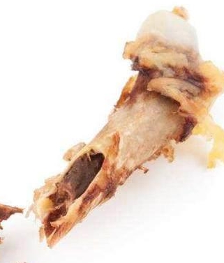 做法|饲养狗狗,这些做法对狗狗的伤害很大,很多饲主却还不知道!