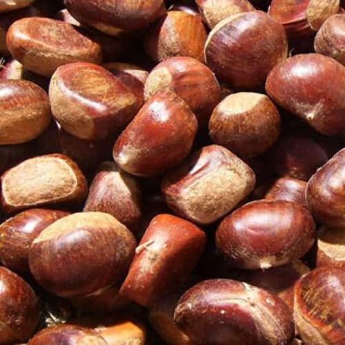 板栗的营养价值与食用功效与作用 4981c41aed2d46c18d6a8e3e269b9c79.jpeg