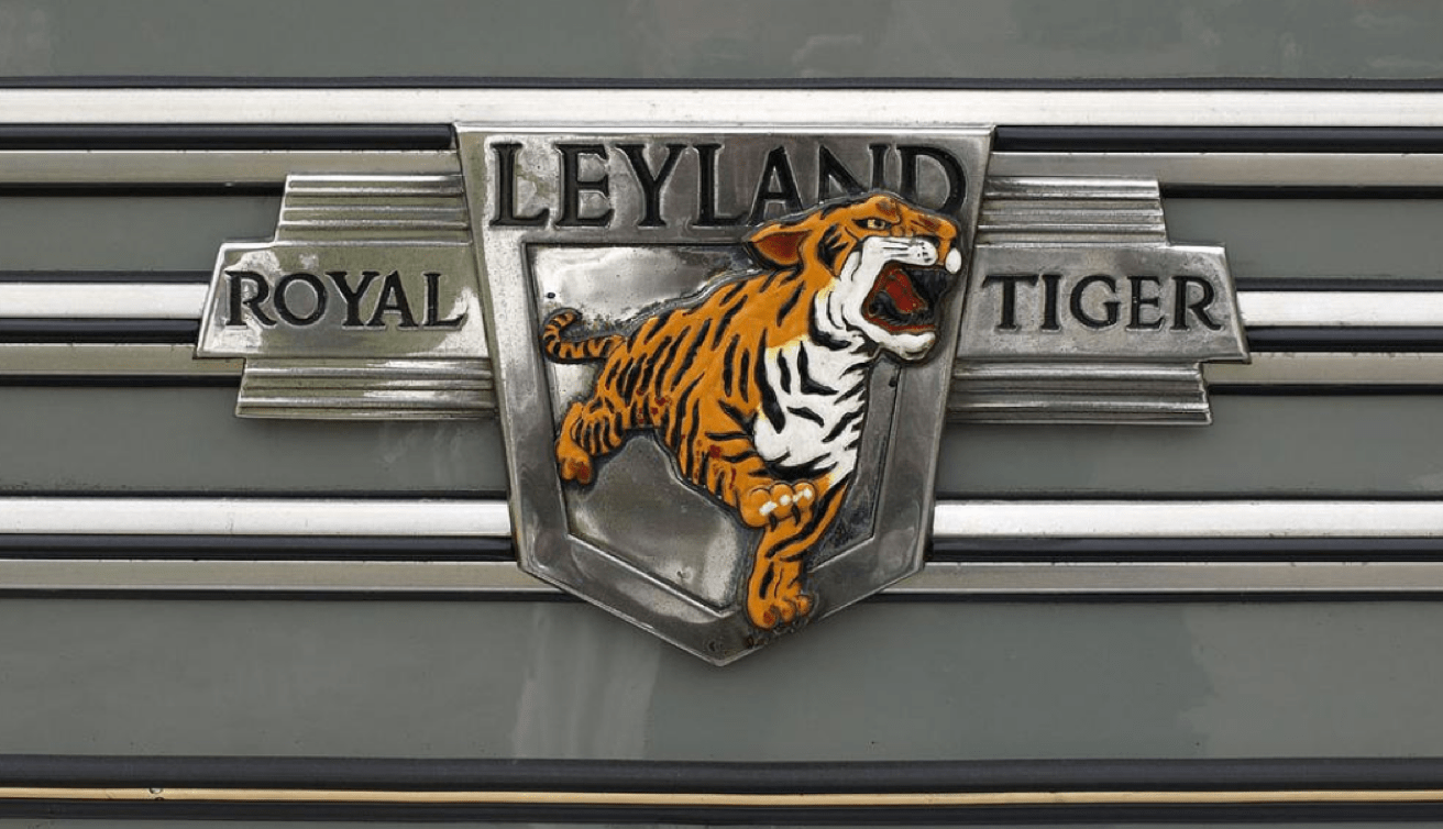 虎年冷知识你知道多少哪些虎牌汽车