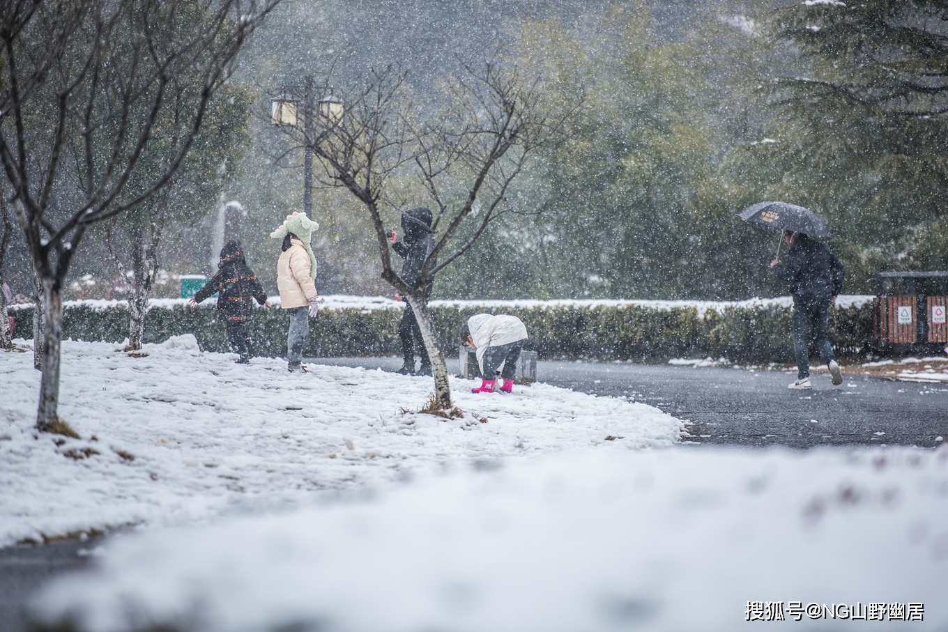 雪景|皖南宁国遇大雪：很有雪国风光的意境，美得让人大呼小叫！