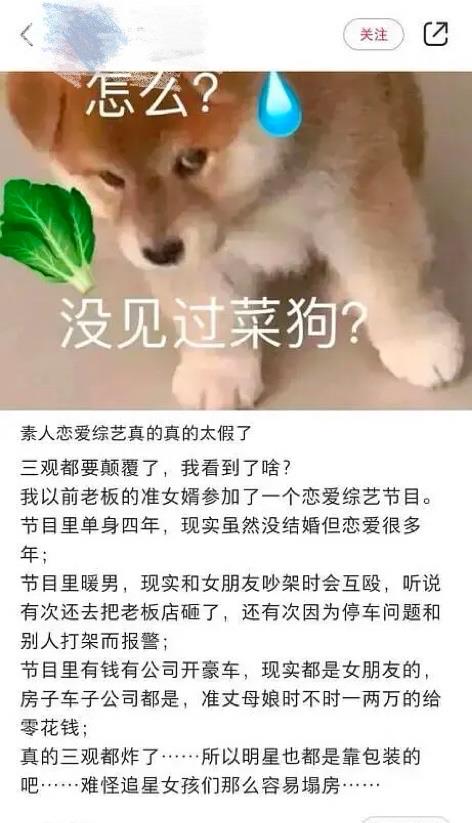 全部都是|《半熟恋人》俞悦人设翻车！学历职称被扒造假，现女友送豪车豪宅