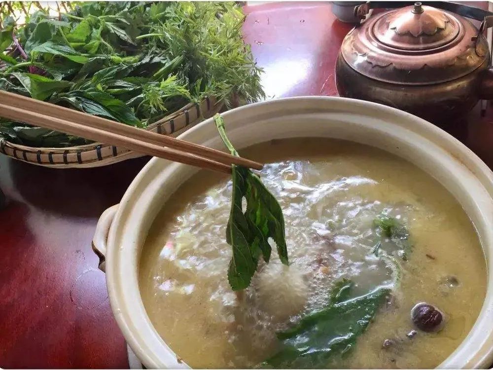 原创这野菜俗称活麻碰一下手疼一天但冬天下火锅好吃有甜味