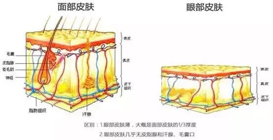 眉骨患新冠11天痊愈后的Lisa，怎么完全认不出了…