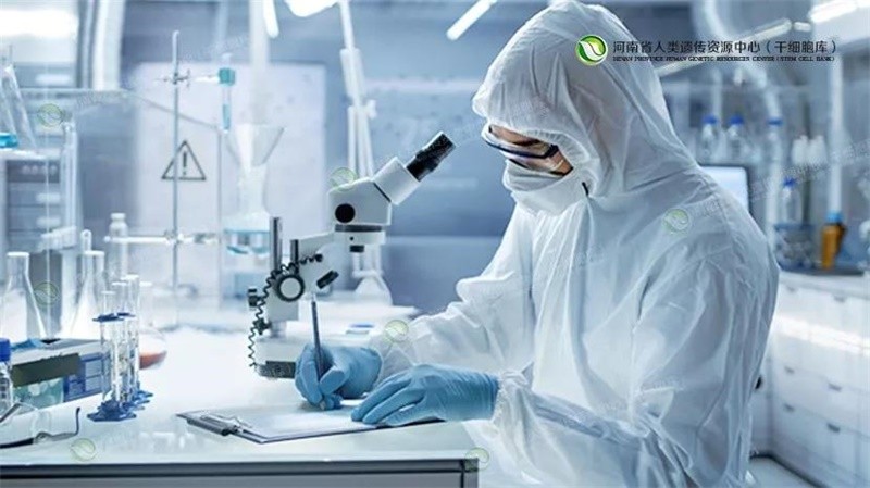 什么新风口：美容干细胞的作用和功效是什么？美容干细胞多久做一次？