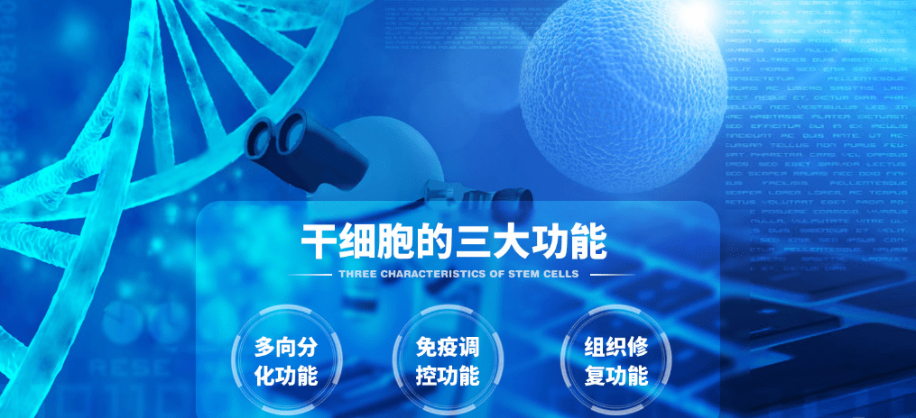 什么新风口：美容干细胞的作用和功效是什么？美容干细胞多久做一次？