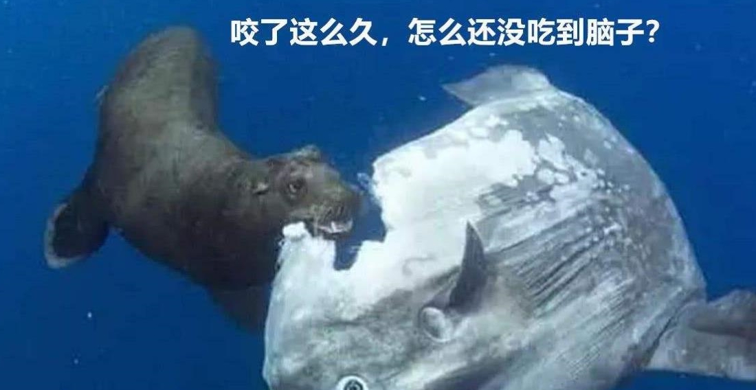 9c85597580cf41ae964a01ee267b5620.jpeg