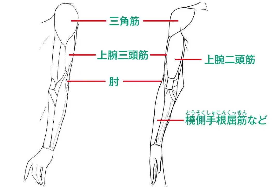 美少女插画的画法表现动作和情绪的写实手臂肘部的画法