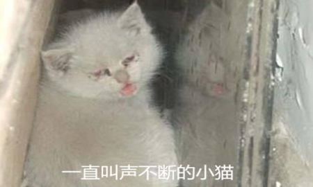 36a3ccc4a7fb4d7f8efd8388371dc97e.jpeg