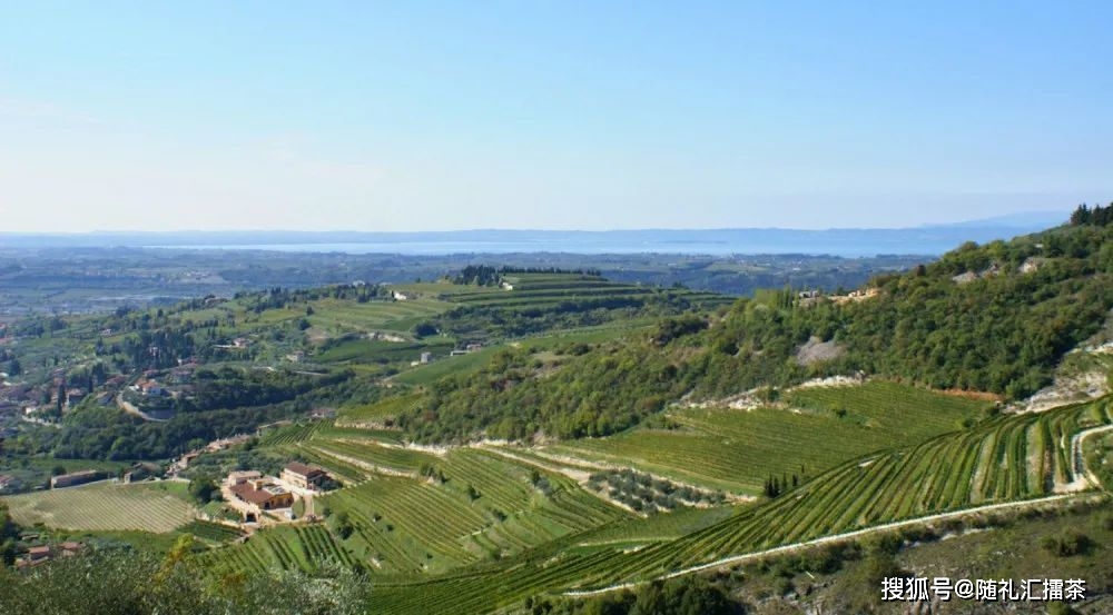 della|威尼托:感受意大利葡萄酒的多样风采