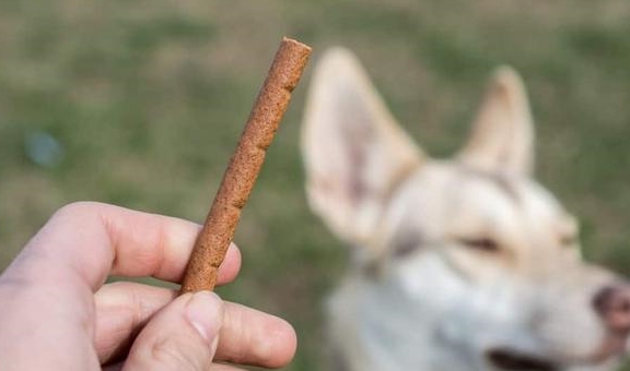 因为|训犬师用零食让狗乖乖听话，零食用得对，训练更容易成功