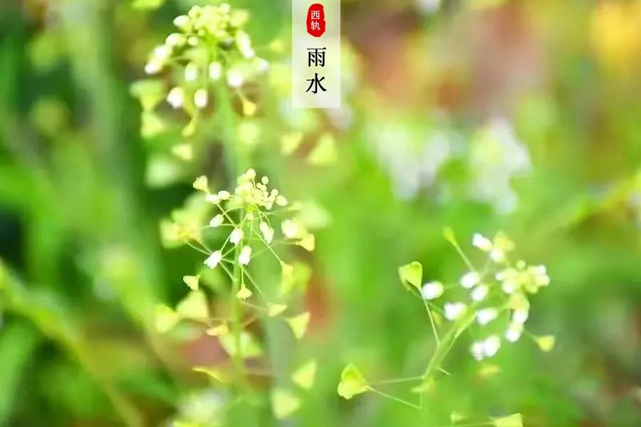 诗意|收藏！ 西安轨道交通技师学院的专属二十四节气壁纸